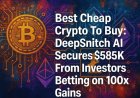 Best Cheap Crypto To Buy Now: Analysts Debate BTC’s Recovery As DeepSnitch AI Secures USD 585K From Investors Betting on 100x Gains