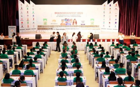 2025: A Landmark International Year for Brainobrain